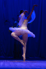 woman ballerina in a white tutu dancing performance on stage in a theater on a blue background © Kozlik_mozlik