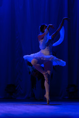 woman ballerina in a white tutu dancing performance on stage in a theater on a blue background © Kozlik_mozlik