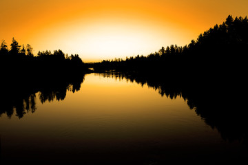 Sunrise or Sunset on River with Forest of Pine Trees