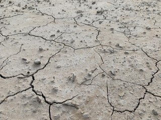 dry cracked earth