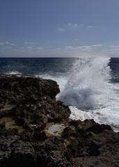 waves crash on the rocks of Favignana
