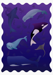 Naklejka premium Mundo marino - Iluestracion animales acuaticos mamiferos - ilustración sobre las profundidades del mar
