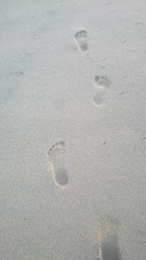 Footprints in the sand. Steps along the shore.