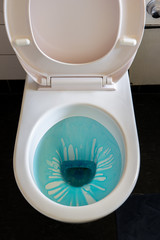 Clean toilet bowl with blue cleaning liquid gel ad the seat up in a small bathroom