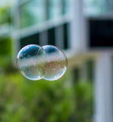two joined soap bubbles on a green background