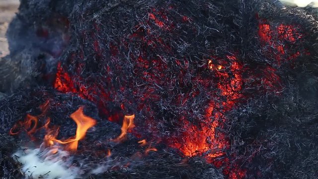 Fire is burning dry grass at spring time. Nature burns, bushes, tree branches,green grass, dry reeds burns with a powerful flame in a fraction of a second, dark blue balls of smoke rise. The concept