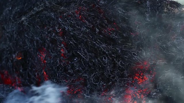 Fire is burning dry grass at spring time. Nature burns, bushes, tree branches,green grass, dry reeds burns with a powerful flame in a fraction of a second, dark blue balls of smoke rise. The concept