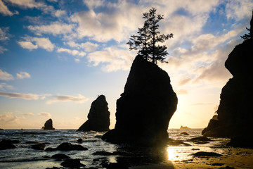 Sunset at Point of the Arches, Shi Shi Beach, Washington state