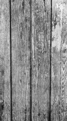 Wooden door with peeling paint and vintage handles with space for text