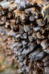 stacked wood with interesting depth of field