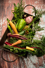 carrots, green pepper, cucumber, chili and other vegetables in a basket.