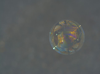 soap bubble on a grey background