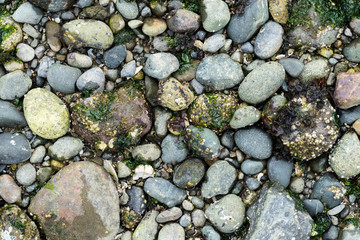 stones on the beach