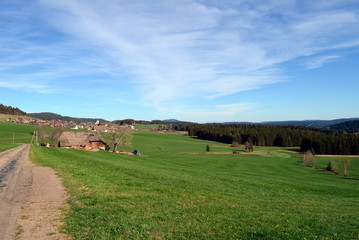 Obraz premium Breitnau im Schwarzwald im Frühling