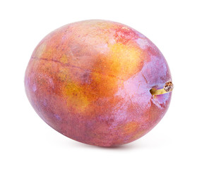 Obraz premium Plum on white background