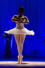 woman ballerina in a white tutu dancing performance on stage in a theater on a blue background © Kozlik_mozlik