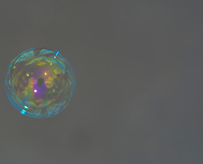 soap bubbles on grey background