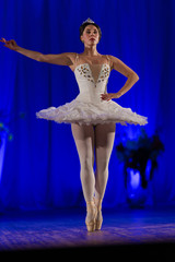 woman ballerina in a white tutu dancing performance on stage in a theater on a blue background © Kozlik_mozlik