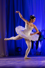 woman ballerina in a white tutu dancing performance on stage in a theater on a blue background © Kozlik_mozlik