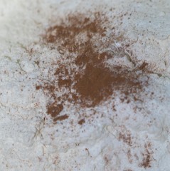 bowl full of flour, milk and cinnamon