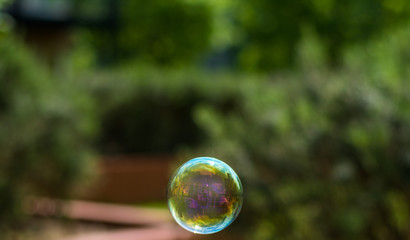 soap bubble on green background