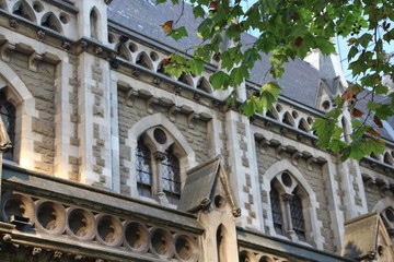 Obraz premium Cathedral Melbourne