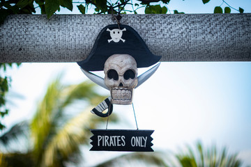 Piraci  bandera czaszka - obrazy, fototapety, plakaty