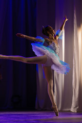 Young girl ballerina in a light blue dress tutu dancing performance of a ballet on stage in a theater © Kozlik_mozlik