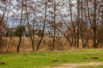 Landschaft mit Baumgruppe im Hintergrund stehen Gebäude