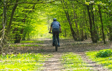 Mountain Biker on Woodland Path in spring time with overhanging trees