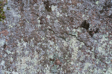 An old dry stone wall with green moss and lichen