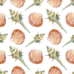 Marine seamless patern of sea shells. Watercolor illustration for textile, greeting cards, invitations etc.