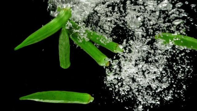 Okra Drop In Water Slow Motion