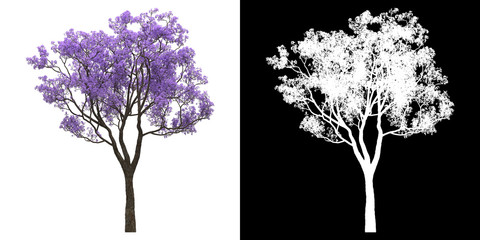 Left view of tree (Jacaranda Mimosifolia) png with alpha channel to cutout 3D rendering
