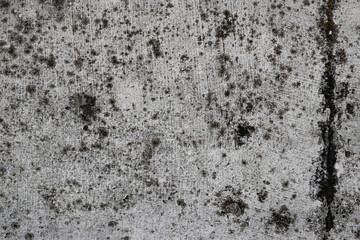 stone wall texture mold background