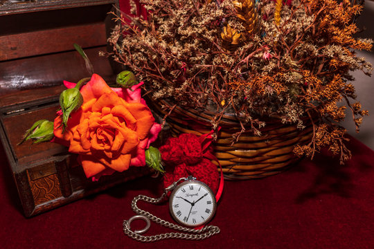 primavera  muerta colores vivos tiempo parado