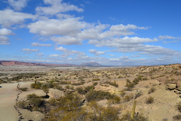 Landscape Argentina