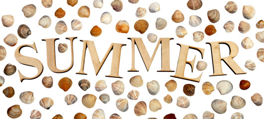 sea shells on a white background. word from wooden letters summer. 