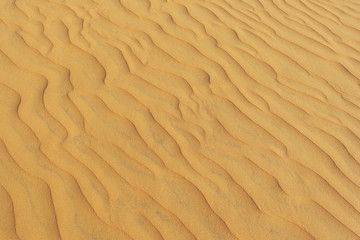 Fototapeta na wymiar yellow sand of the desert. Sand texture wave