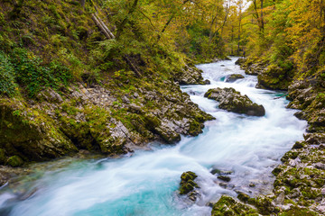 Fototapeta premium The mountain river Radovna