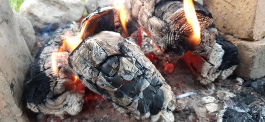 campfire in the forest