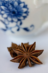 Star aniseed