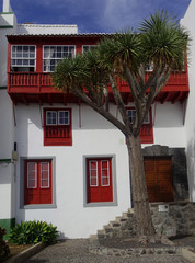 Historic traditional house with crystallized balcony and dragon tree in the old city of Santa Cruz. La Palma Island. Canary Islands. Spain. 
