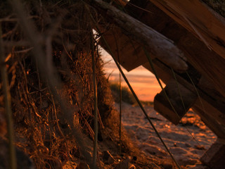 Strandgut im Sonnenuntergang