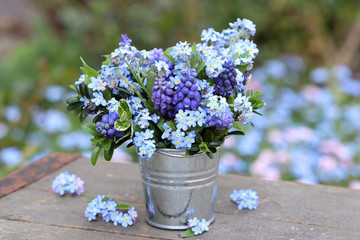 Blumenstrauß mit Vergissmeinnicht und Traubenhyazinthen im Zinktopf © Natalia Greeske