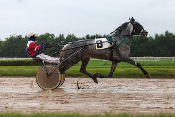 race horses jockey river horse racing racetrack run by two, sports with horses