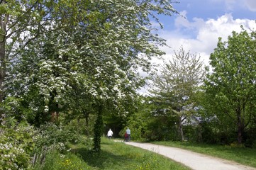 Parc du Landry à Rennes