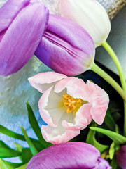 bouquet of pink tulips