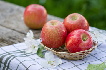 red apples in a wicker basket, fresh Apple flowers in the garden, close-up.