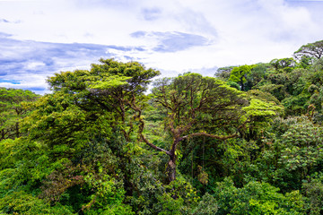 Eine Reise durch das wundervolle Costa Rica.